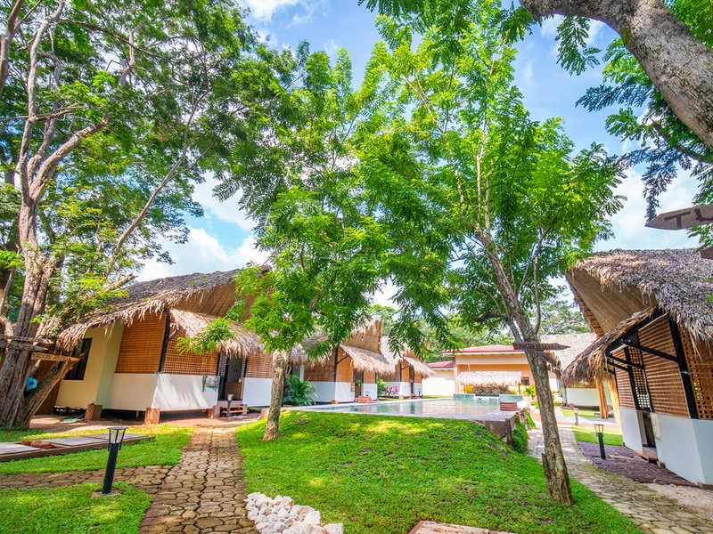 10+ CAP Boutique Eco Lodge - Walking distance to Playa Potrero and Prieta