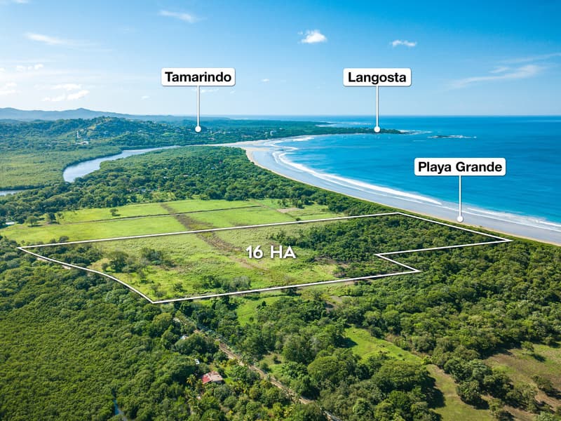 Playa Grande Titled Beachfront Land