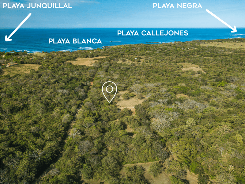 Orchards of Playa Blanca, Perfect Residential Lot with Water Meter