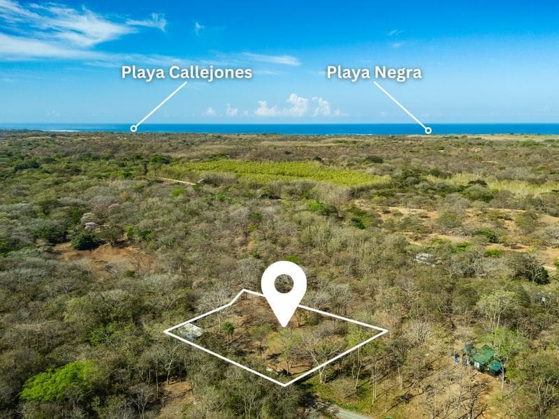 Jungle Lot with Container Home 10 min from the beach — Casa de 1 habitación en Playa Negra
