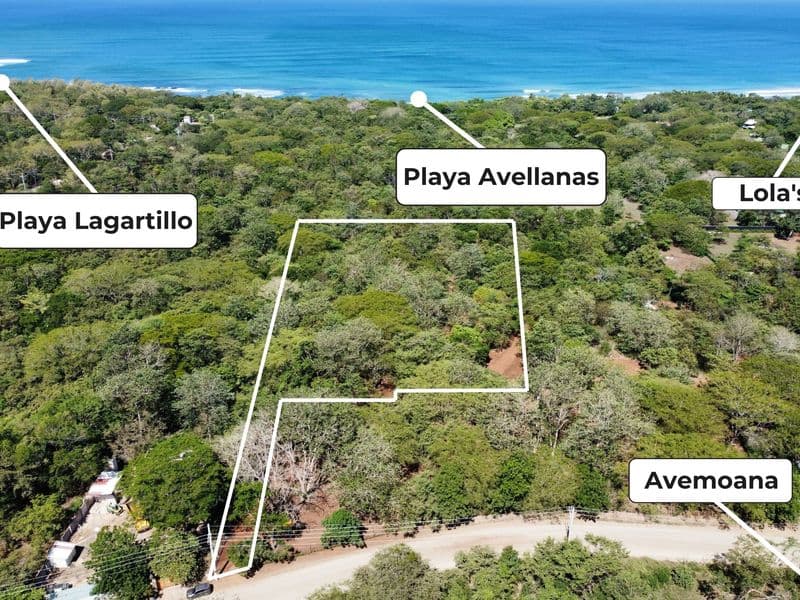 1.54-Acre Development Site in Playa Avellanas