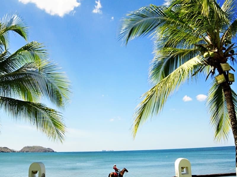 Beachfront hotel for sale